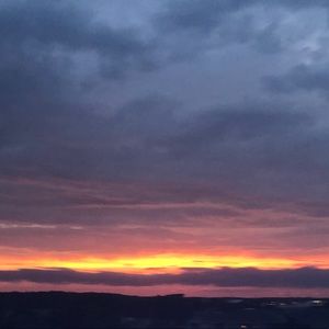 Meet your Posher, Dora